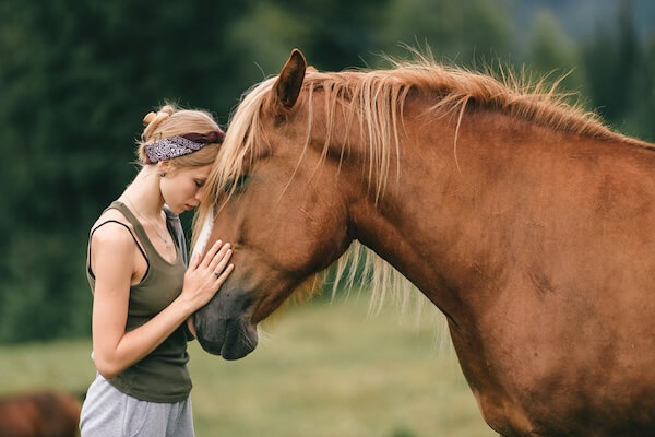 improve your mental health with horses