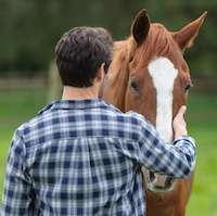 how to reduce anxiety with equine therapy